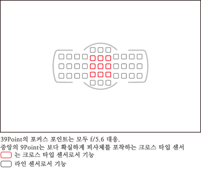 39Point의 포커스 포인트는 모두 f/5.6 대응.중앙의 9Point는 보다 확실하게 피사체를 포착하는 크로스 타입 센서
		붉은네모는 크로스 타입 센서로서 기능
		회색네모는 라인 센서로서 기능
		