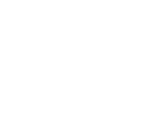 Z logo