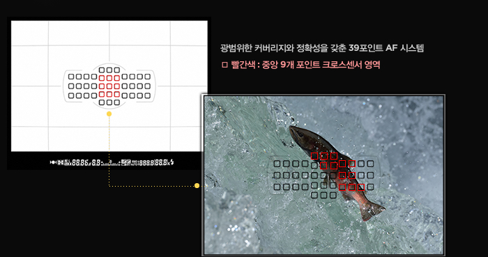  광범위한 커버리지와 정확성을 갖춘 39포인트 AF 시스템□ 빨간색 : 중앙 9개 포인트 크로스센서 영역