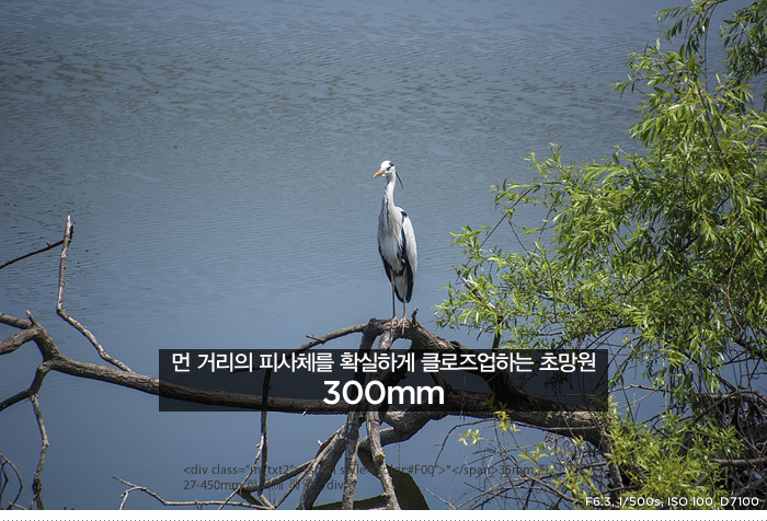 먼 거리의 피사체를 확실하게 클로즈업하는 초망원 300mm