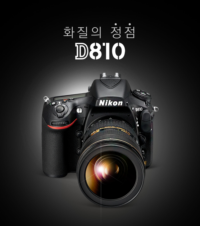 화질의 정점 D810