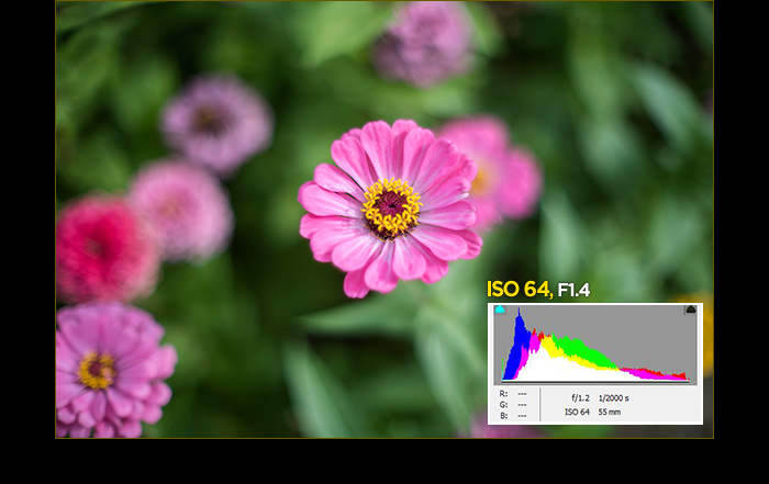 ISO 64 설정시 모든 계조를 온전하게 표현하는 뛰어난 완성도의 사진을 촬영 가능