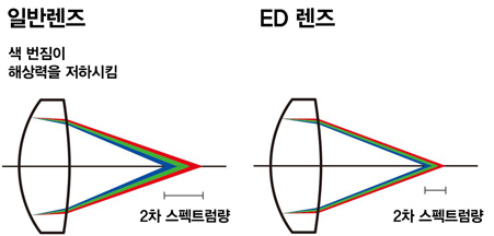 ED 렌즈