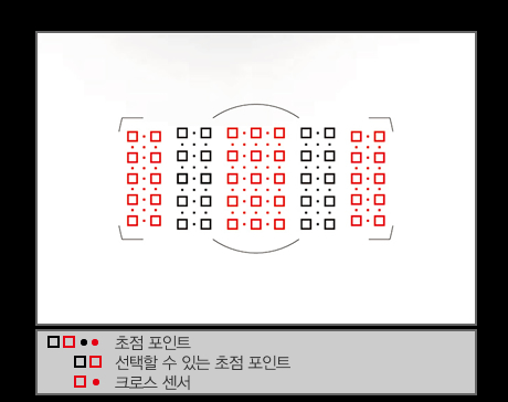 초점포인트 이미지