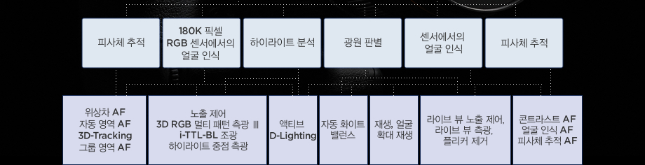 피사체추적,180K 픽셀 RGB 센서에서의 얼굴인식,하이라이트분석,광원판별,센서에서의 얼굴인식, 피사체추적을 진행하여 위상차AF/자동영역 AF/3D-Tracking, 노출제어/3D-RGB 멀티패턴측광3/iTTL-BL조광/하이라이트 중점 측광, 액티브 D-Lighting, 자동화이트밸런스, 재생,얼굴확대재생, 라이브 뷰 노출 제어/라이브 뷰 측광/플리커 제거, 콘트라스트AF/얼굴인식AF/피사체추적AF 기능을 실현합니다.