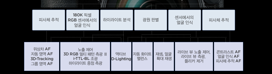 피사체추적,180K 픽셀 RGB 센서에서의 얼굴인식,하이라이트분석,광원판별,센서에서의 얼굴인식, 피사체추적을 진행하여 위상차AF/자동영역 AF/3D-Tracking, 노출제어/3D-RGB 멀티패턴측광3/iTTL-BL조광/하이라이트 중점 측광, 액티브 D-Lighting, 자동화이트밸런스, 재생,얼굴확대재생, 라이브 뷰 노출 제어/라이브 뷰 측광/플리커 제거, 콘트라스트AF/얼굴인식AF/피사체추적AF 기능을 실현합니다.