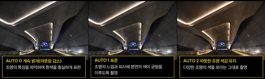 AUTO 0 계속 밝게(따뜻함 감소):조명의 특징을 파악하여 흰색을 충실하게 표현, AUTO 1 표준:조명의 느낌과 피사체 본연의 색이 균형을 이루도록 촬영, AUTO 2 따뜻한 조명 색감 유지:다양한 조명의 색을 보이는 그대로 촬영