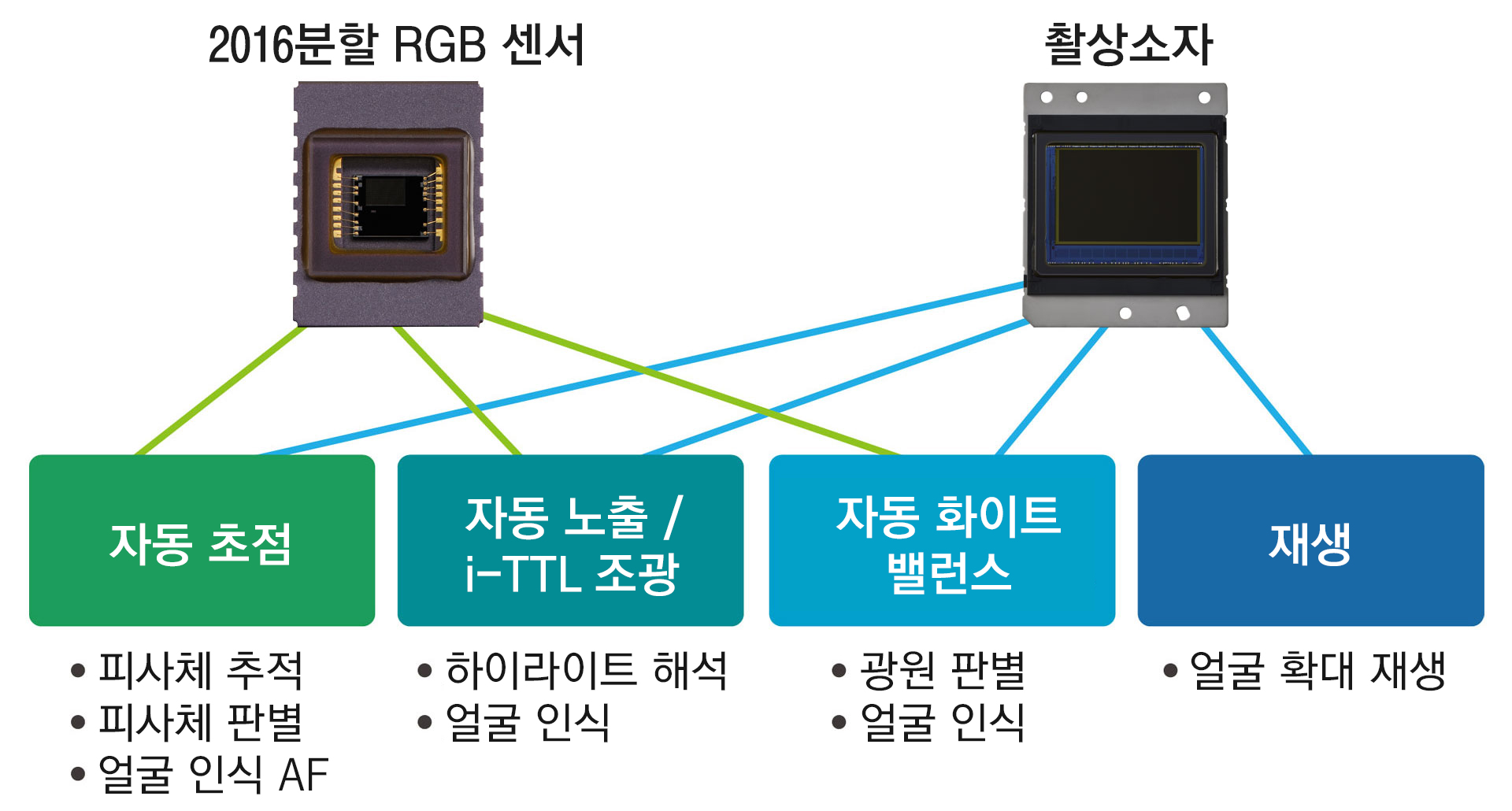 설명 이미지