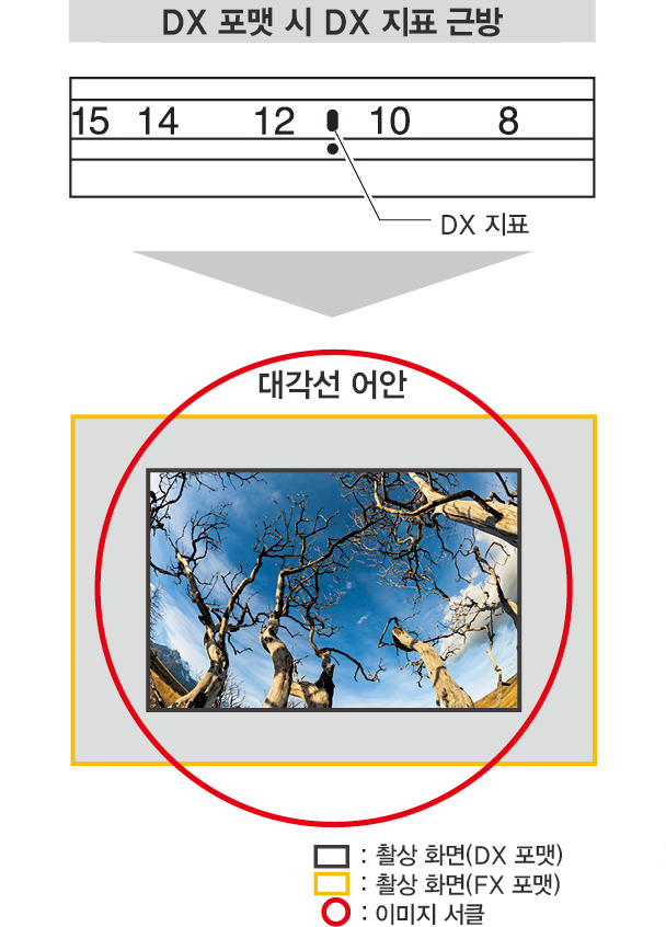 DX 포맷 시 DX 지표 근방