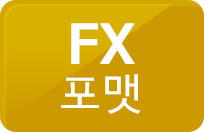 FX 포맷