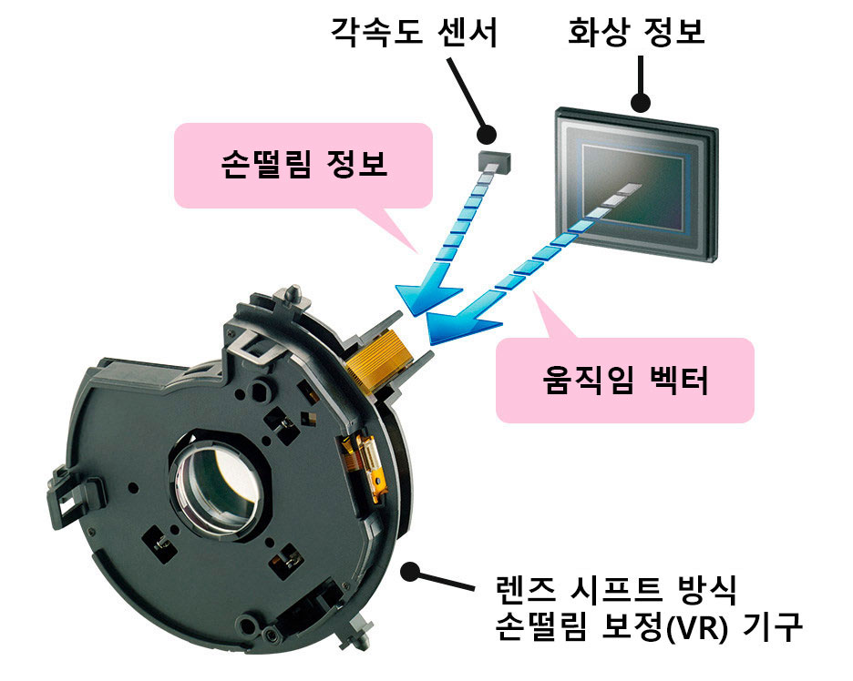 촬영 예시