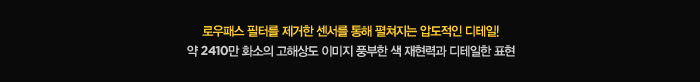 로우패스 필터를 제거한 센서를 통해 펼쳐지는 압도적인 디테일! 약 2410만 화소의 고해상도 이미지 풍부한 색 재현력과 디테일한 표현